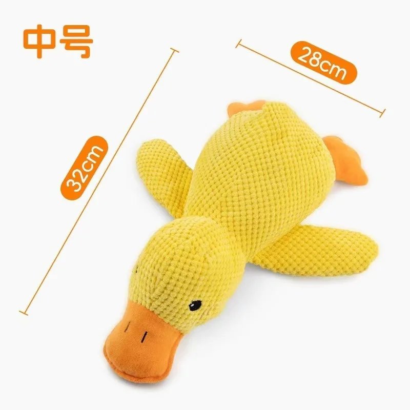 Medium sized duck